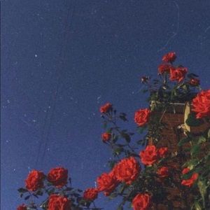 Meet your Posher, Teresa